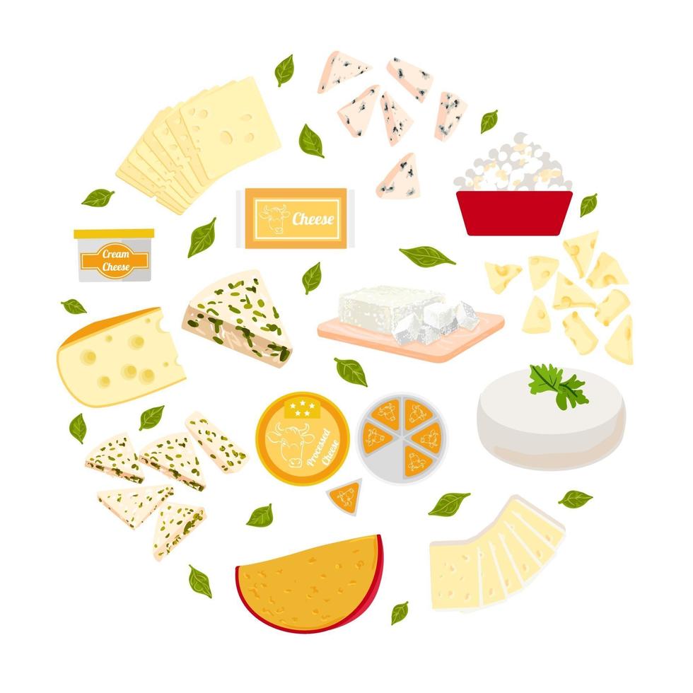 Vector colorful illustration set of different type cheeses.