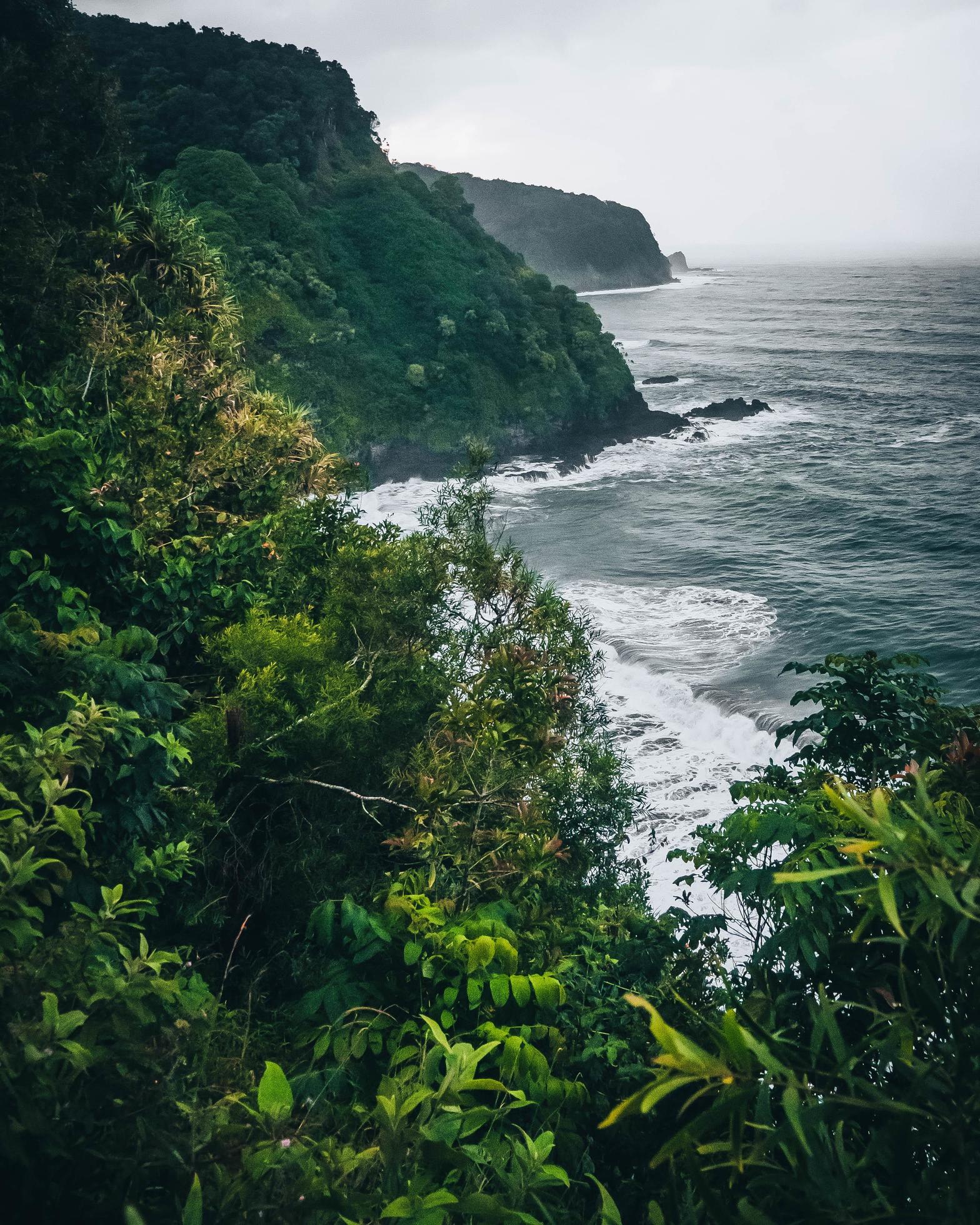 tropical-cliffside-on-the-road-to-hana-in-maui-hawaii-free-photo.jpg