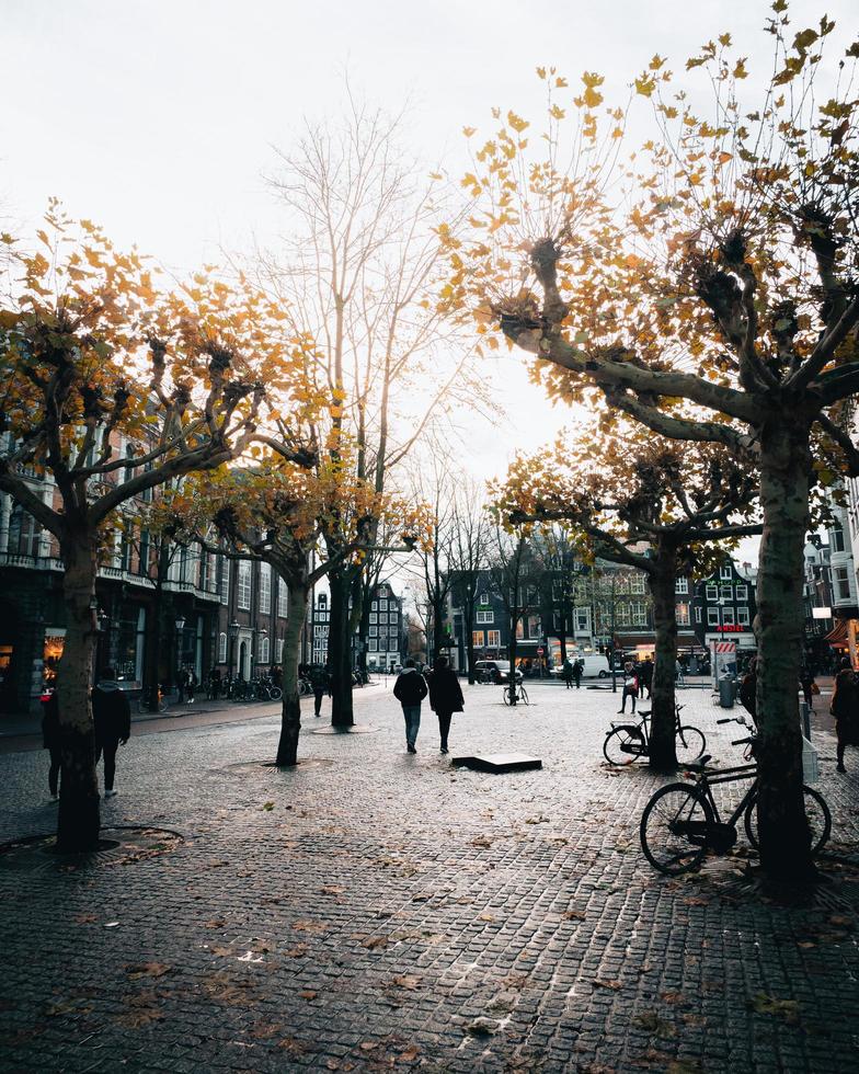 Amsterdam, Netherlands 2018- People walking in the street in Amsterdam photo