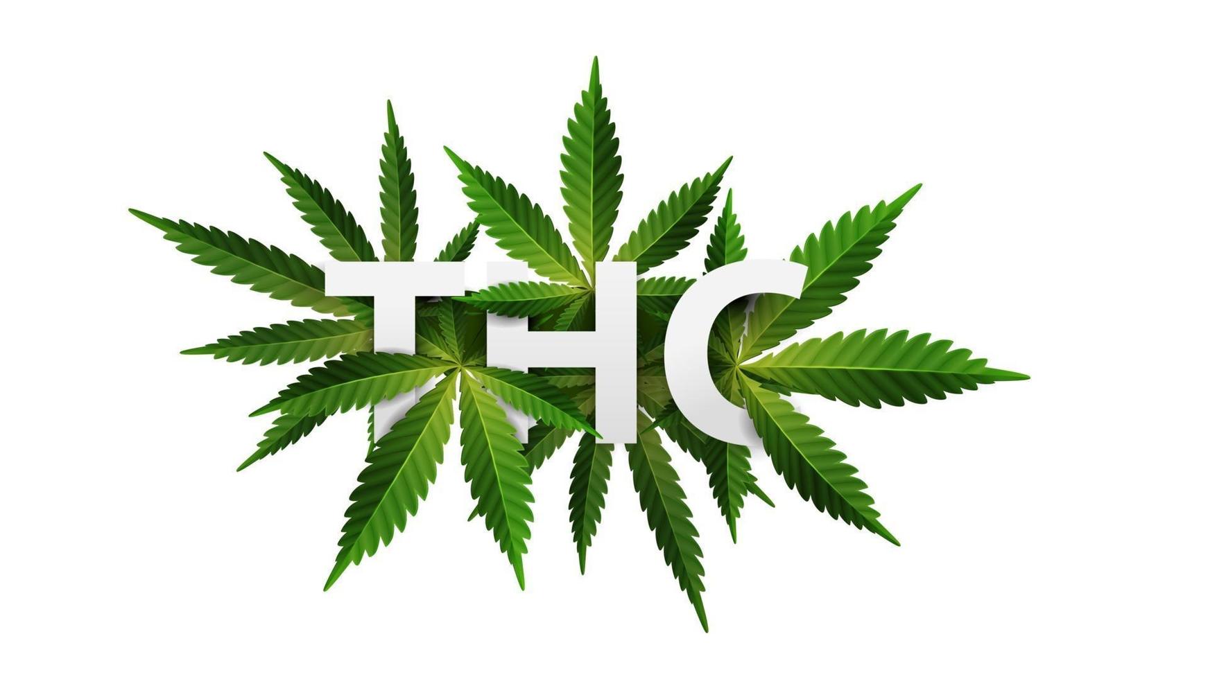 thc, logo, signo, símbolo. Título 3d decorado con hojas de cannabis aislado sobre fondo blanco. vector