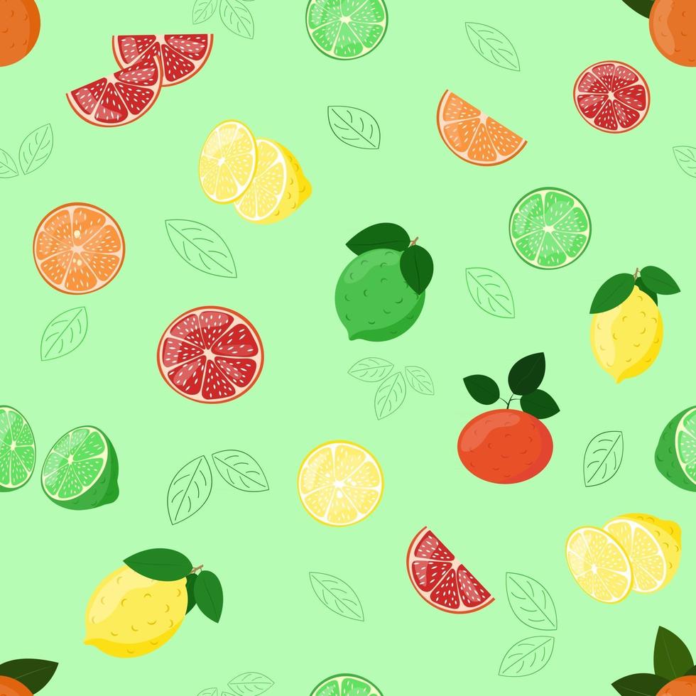 Citrus fruits pattern. Lemon, tangerine, lime and grapefruit slice. vector