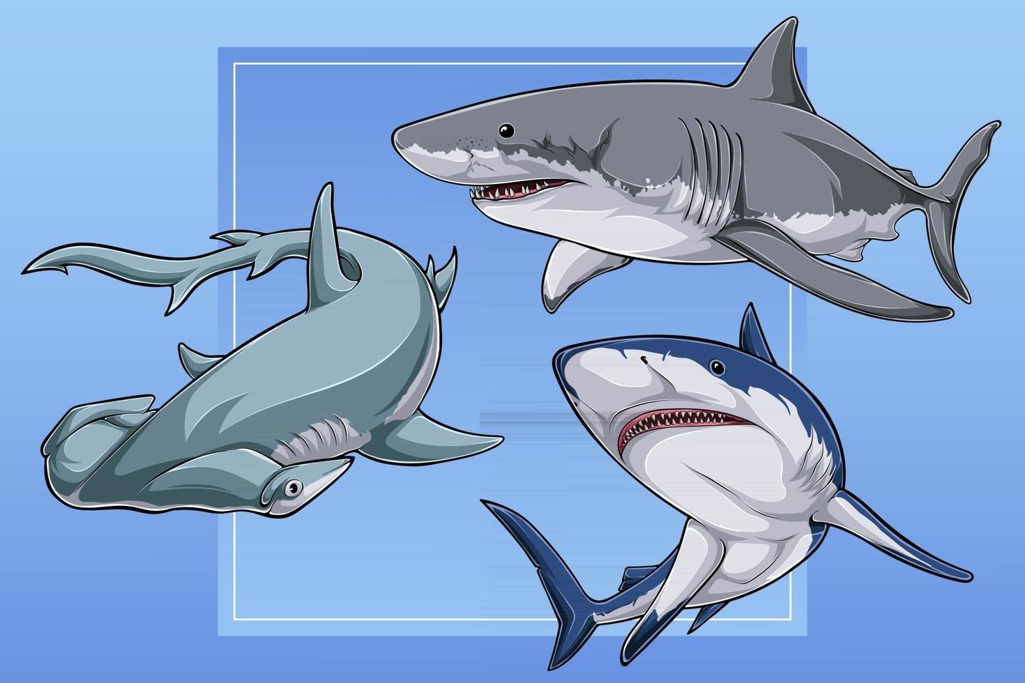 colección de tiburones dibujados a mano, gran tiburón blanco, tiburón azul y tiburón martillo festoneado vector