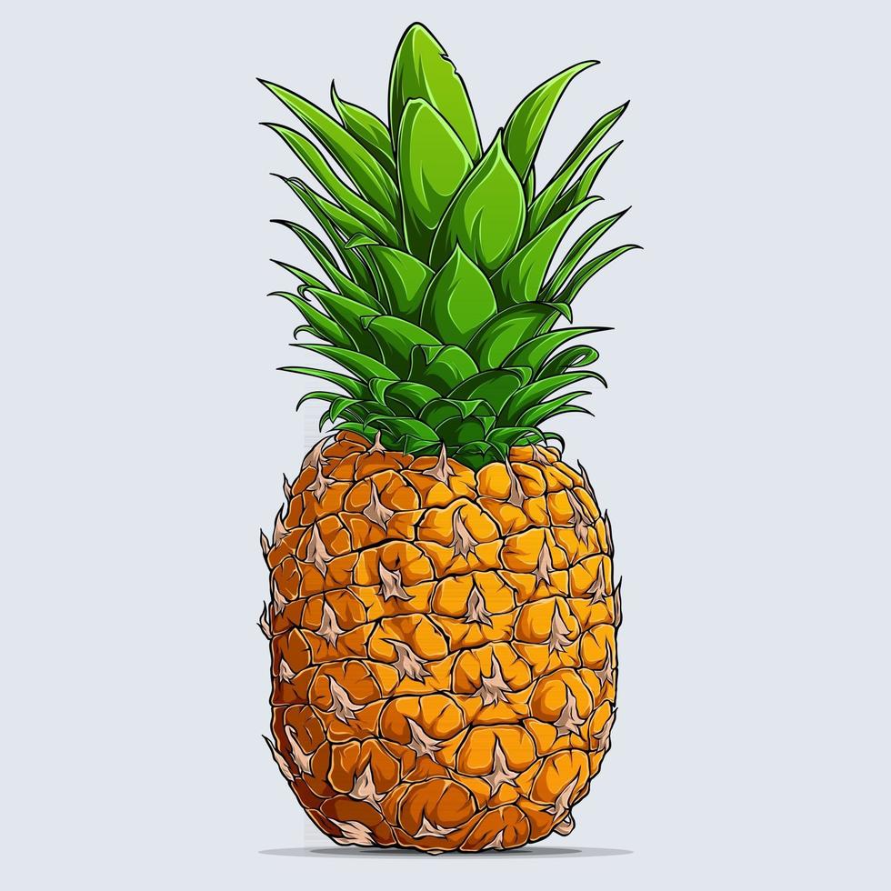Hand drawn single whole fresh pineapple isolated on white background vector