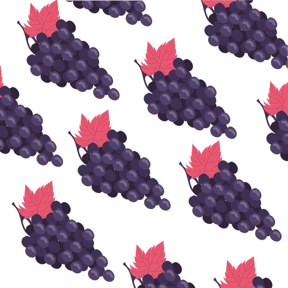 grapes fresh fruits pattern background vector