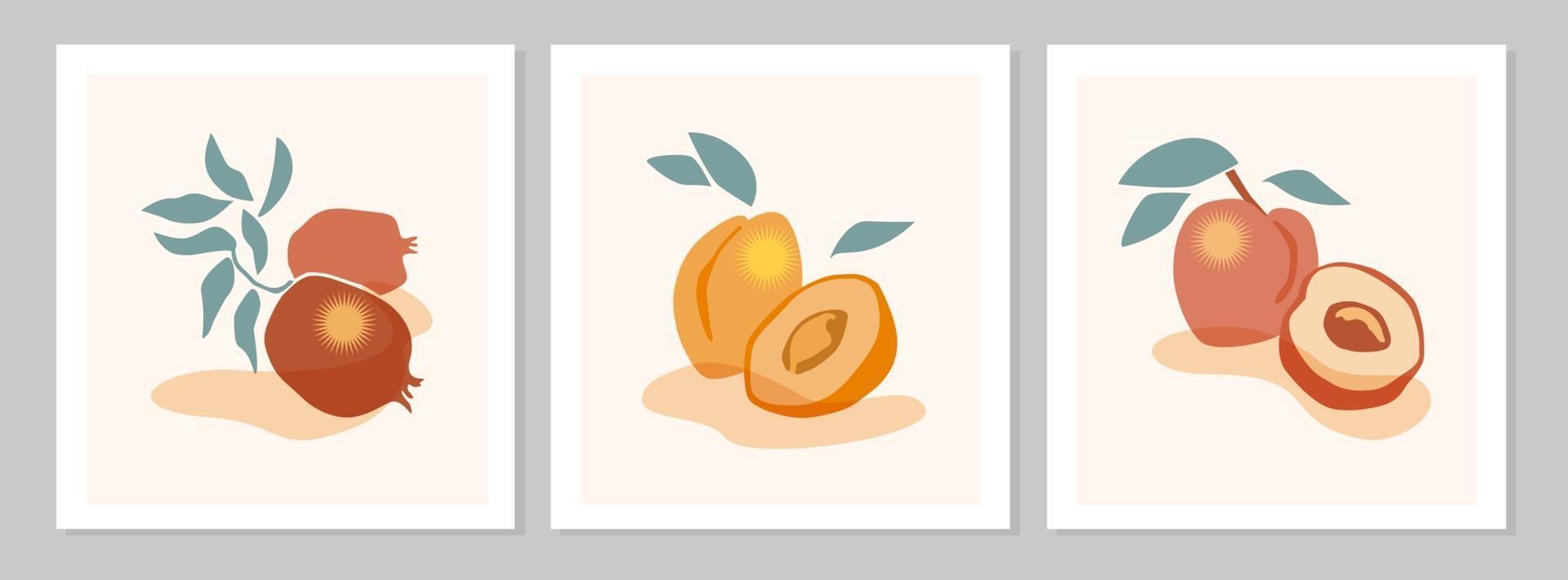 Bodegón abstracto con melocotón, albaricoque, cartel de fruta de granada. colección de arte contemporáneo. vector ilustración plana. diseño de frutas abstractas dibujadas a mano para redes sociales, postales, impresión.