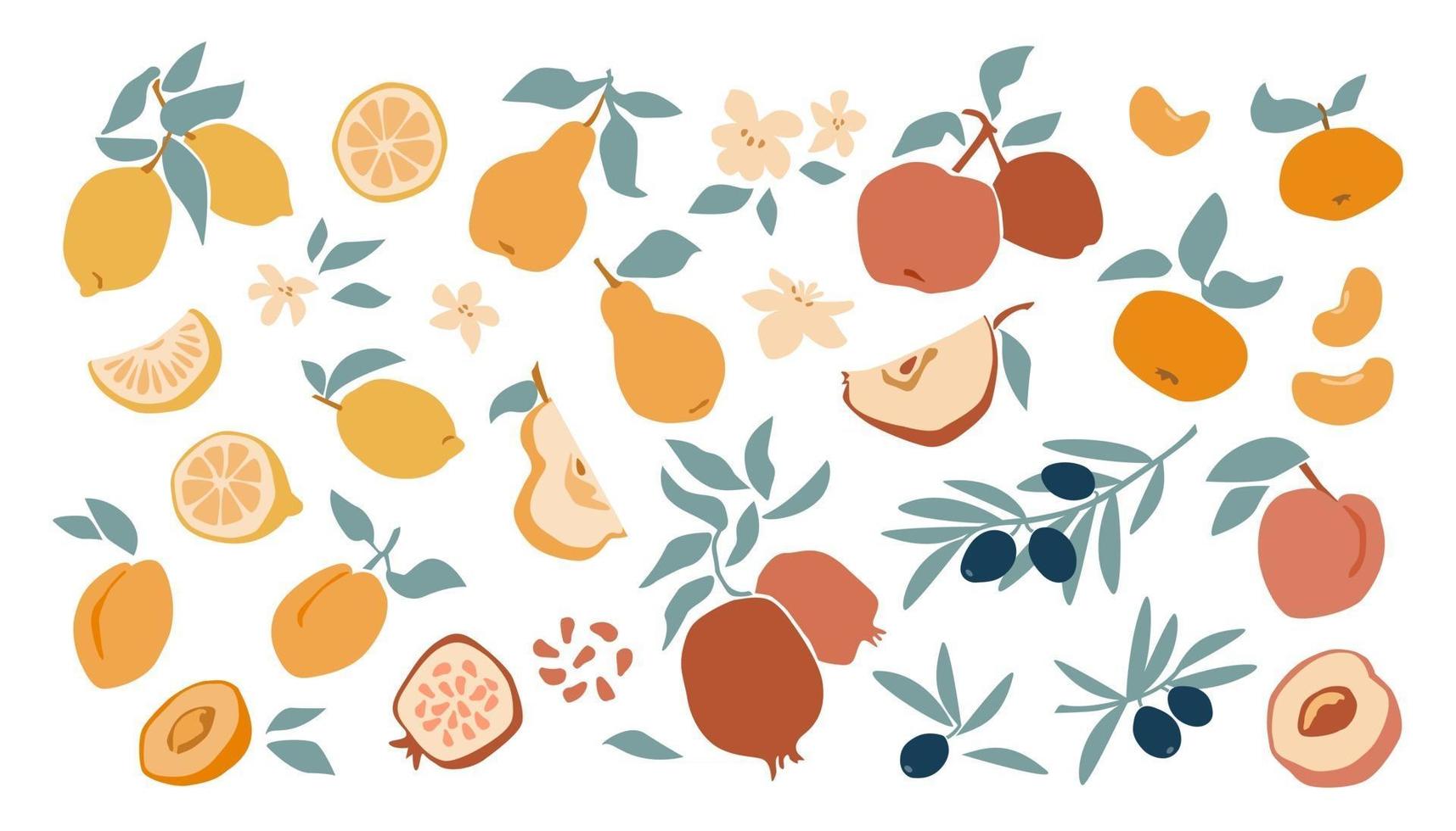 conjunto de fruta fresca limón, melocotón, manzana, mandarina, albaricoque, granada, oliva en estilo de dibujo a mano aislado sobre fondo blanco. vector ilustración plana. diseño para textiles, etiquetas, carteles, tarjetas