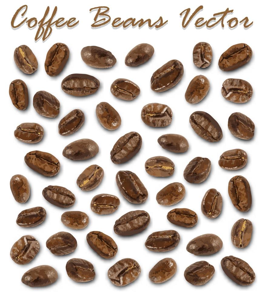 Set of roasted coffee beans elements vector and shadow on white background.