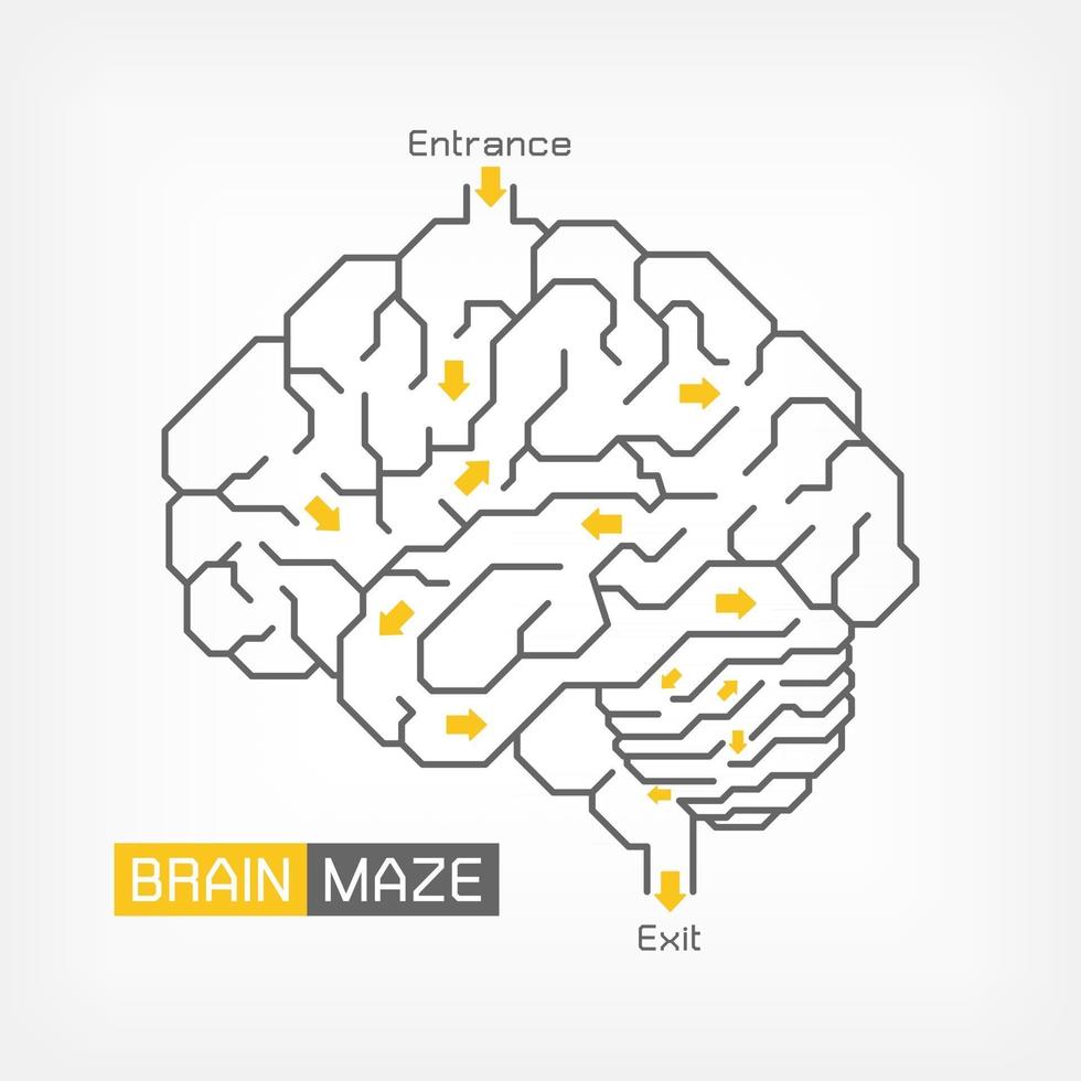 Brain maze. Creative idea concept. Outline of cerebrum cerebellum and brainstem. vector
