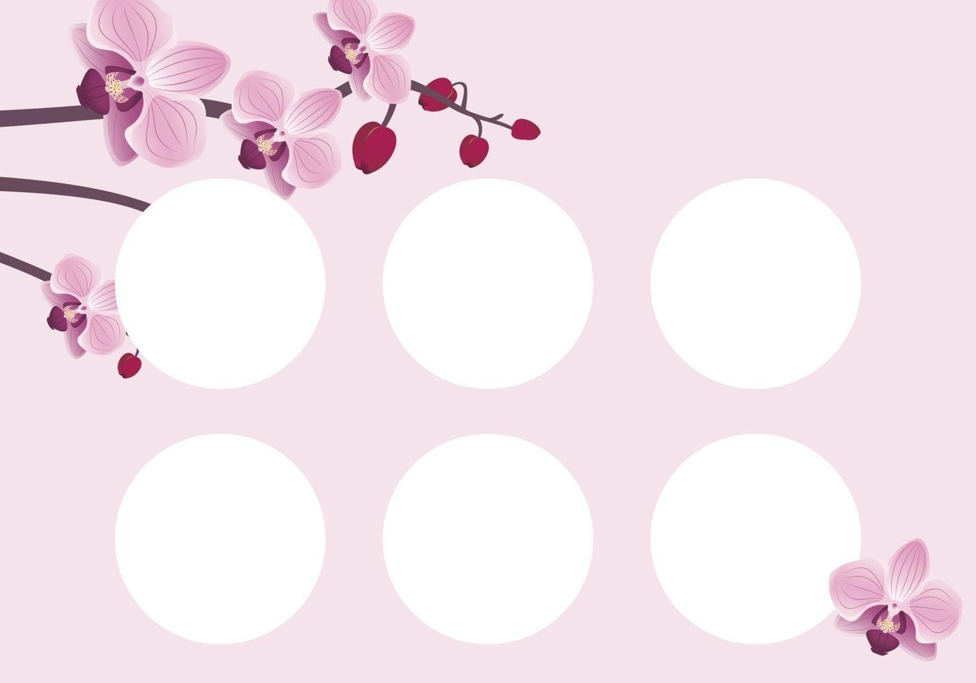 Plantilla de tarjeta de descuento con flores de orquídeas. composición floreciente rosada de la primavera con los brotes. decoración para el campo de la belleza, estilista, maquilladora y diseño vector