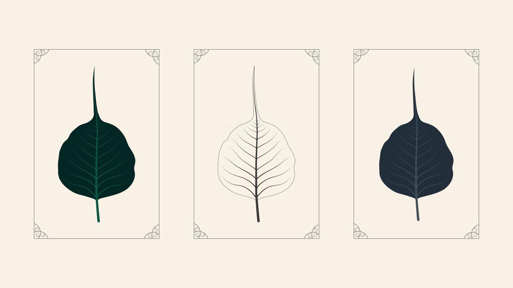 decorative beautiful cute leaf illustration. set of leaves with creative frames vector