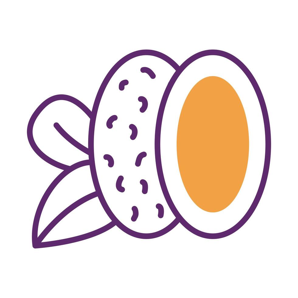 coffee seeds and leafs line style vector