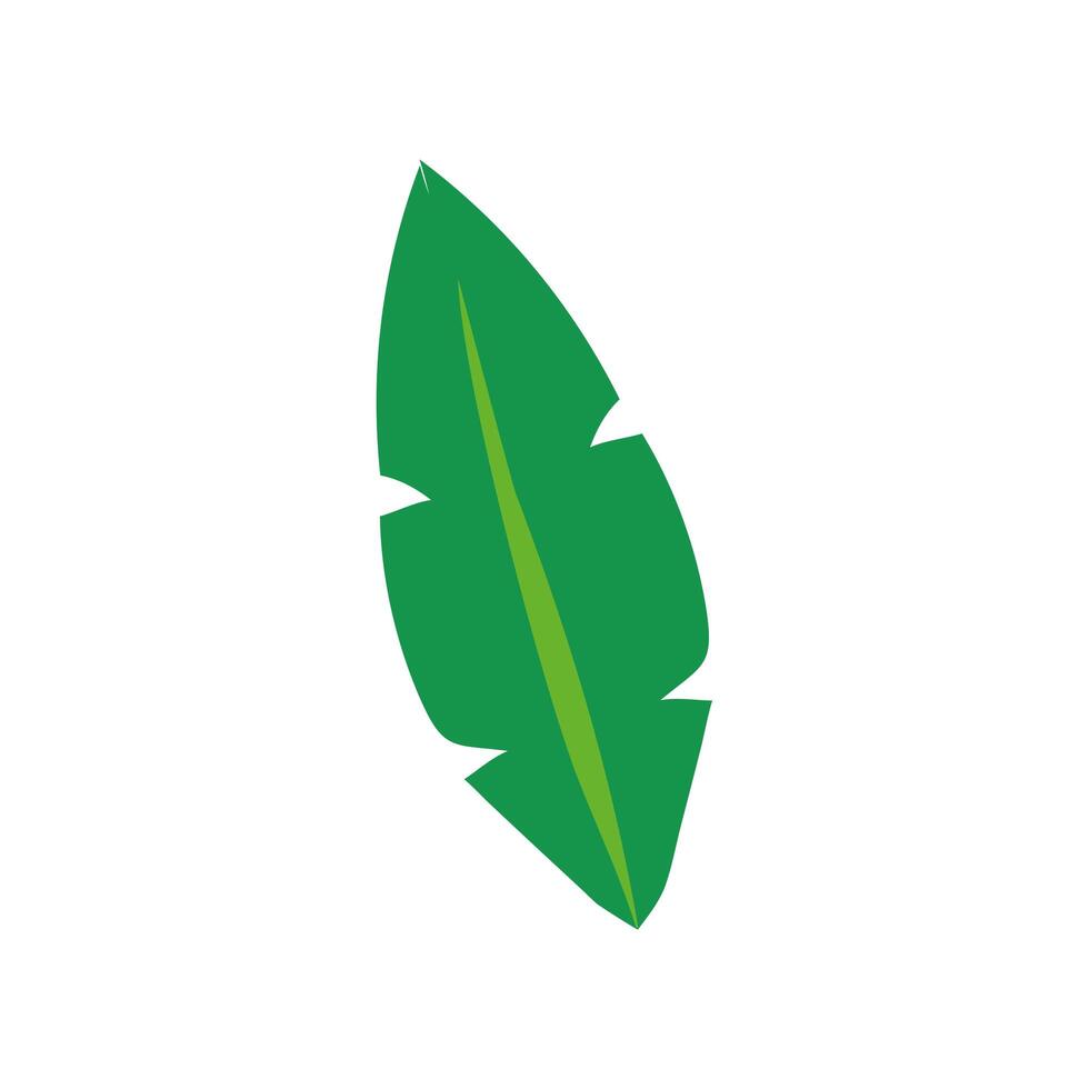 ecology leaf plant isolated icon vector
