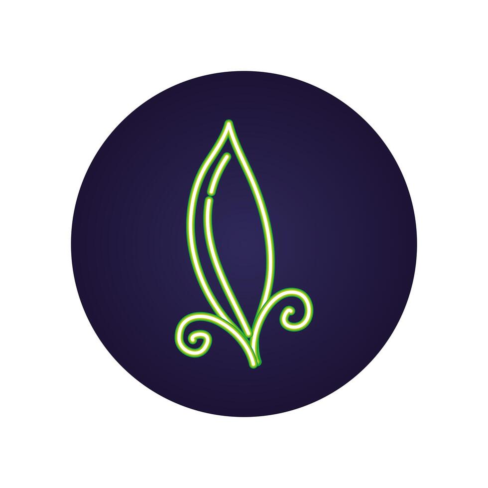 feather bird decorative isolated icon vector