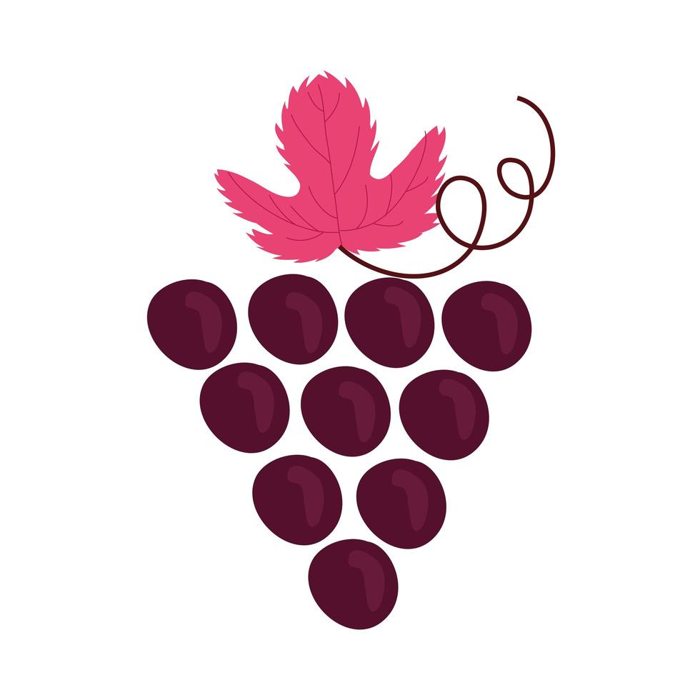 grapes fresh fruits isolated icon vector
