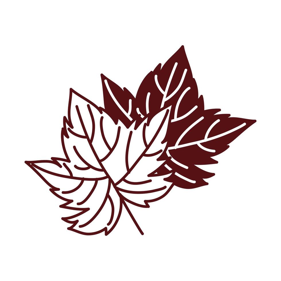 grape plant leaf nature icon vector