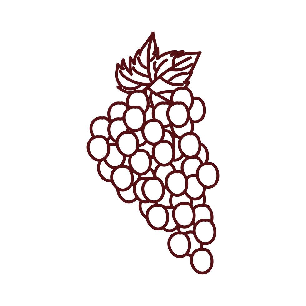 uvas frutas frescas icono aislado vector