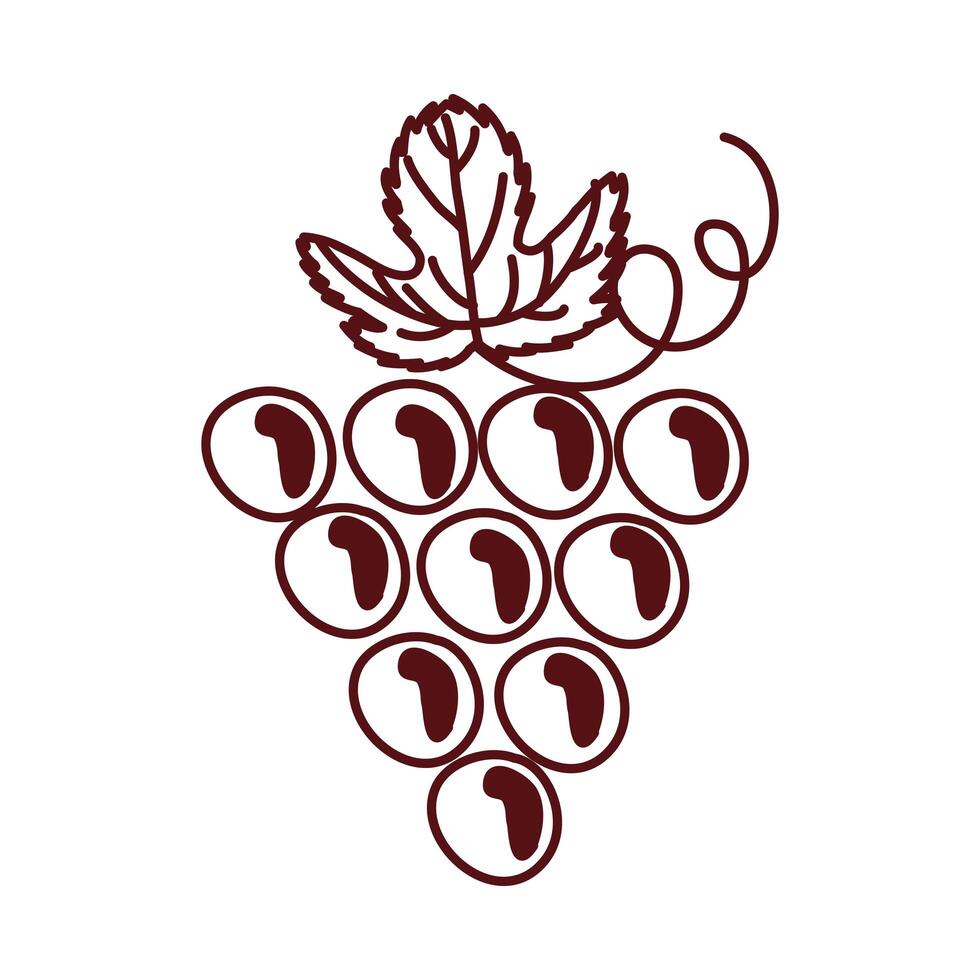 grapes fresh fruits isolated icon vector