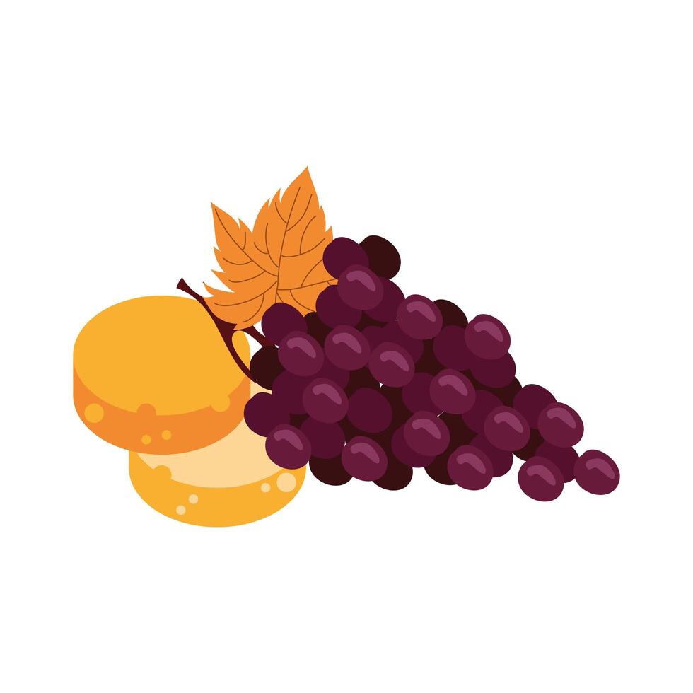 grapes fresh fruits and breads vector