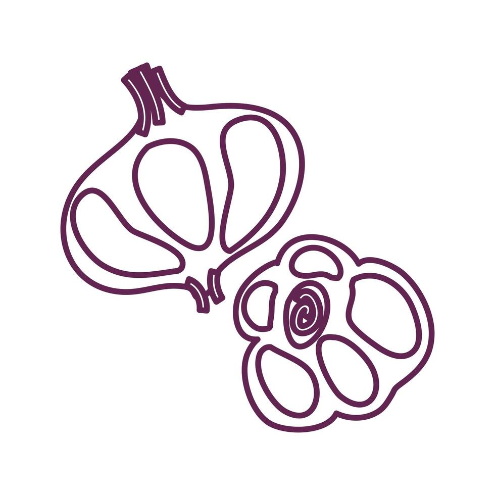 fresh garlic vegetables isolated icon vector