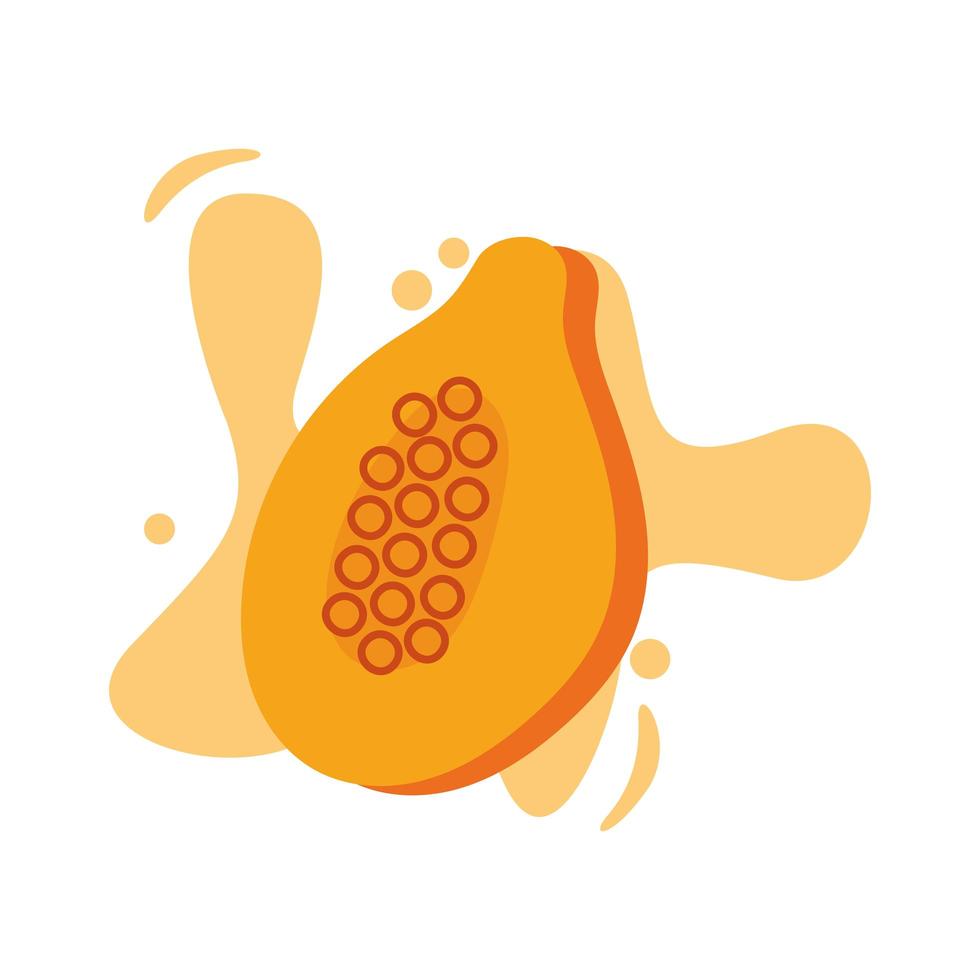 fresh papaya fruit isolated icon vector