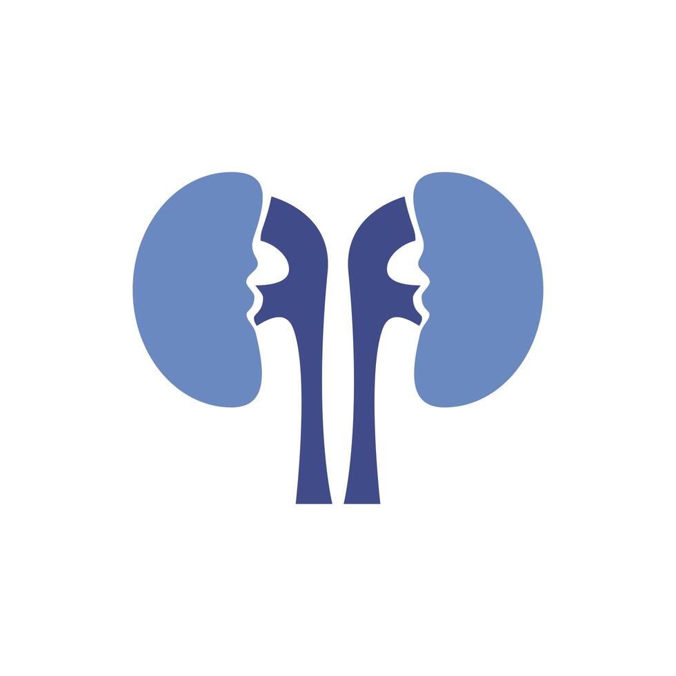 kidneys human organ isolated icon vector