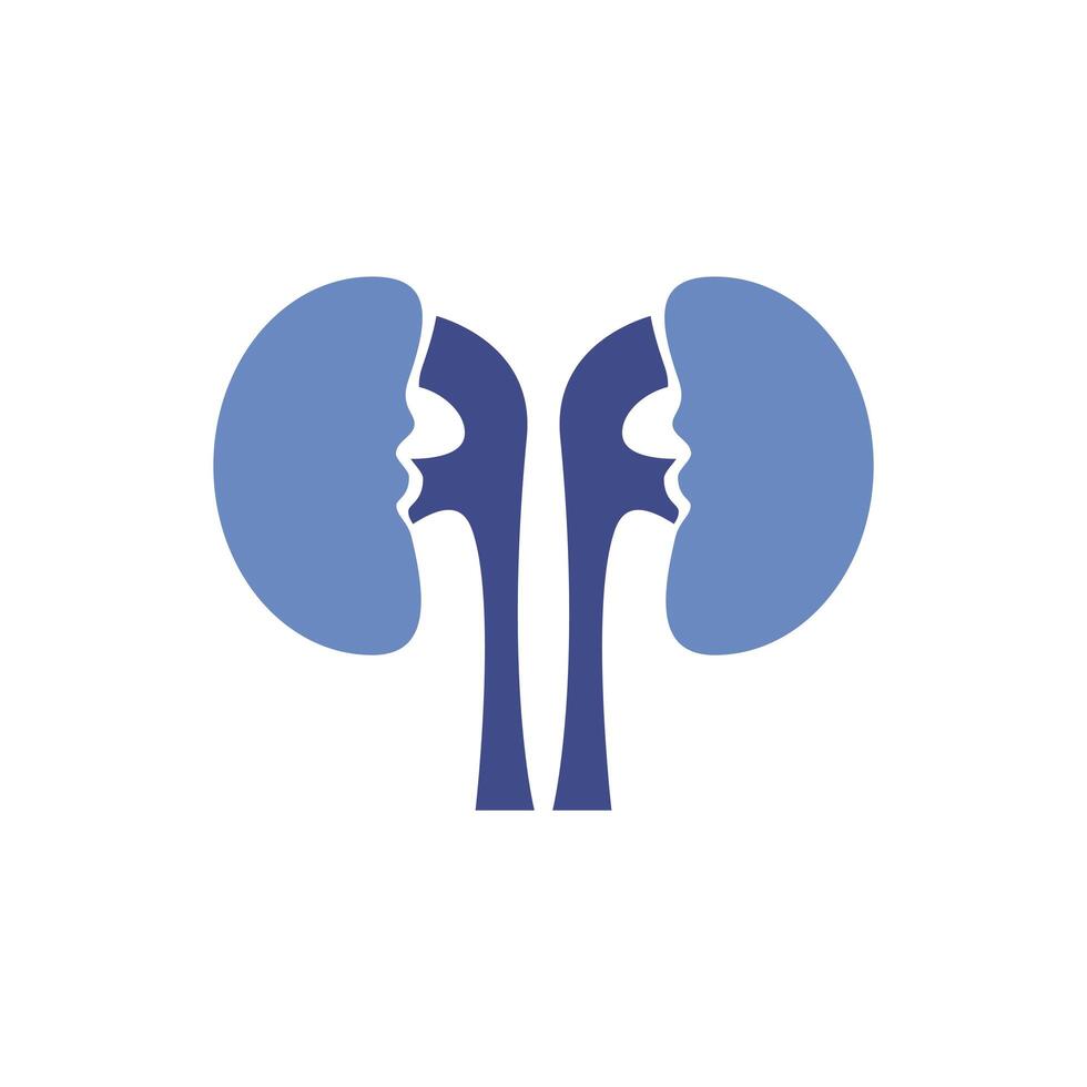 kidneys human organ isolated icon vector