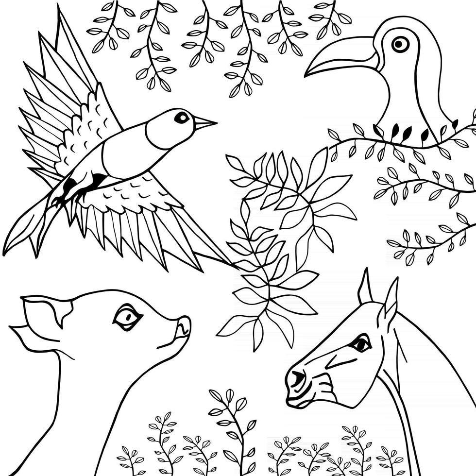 Hand draw collection of animals and birds vector