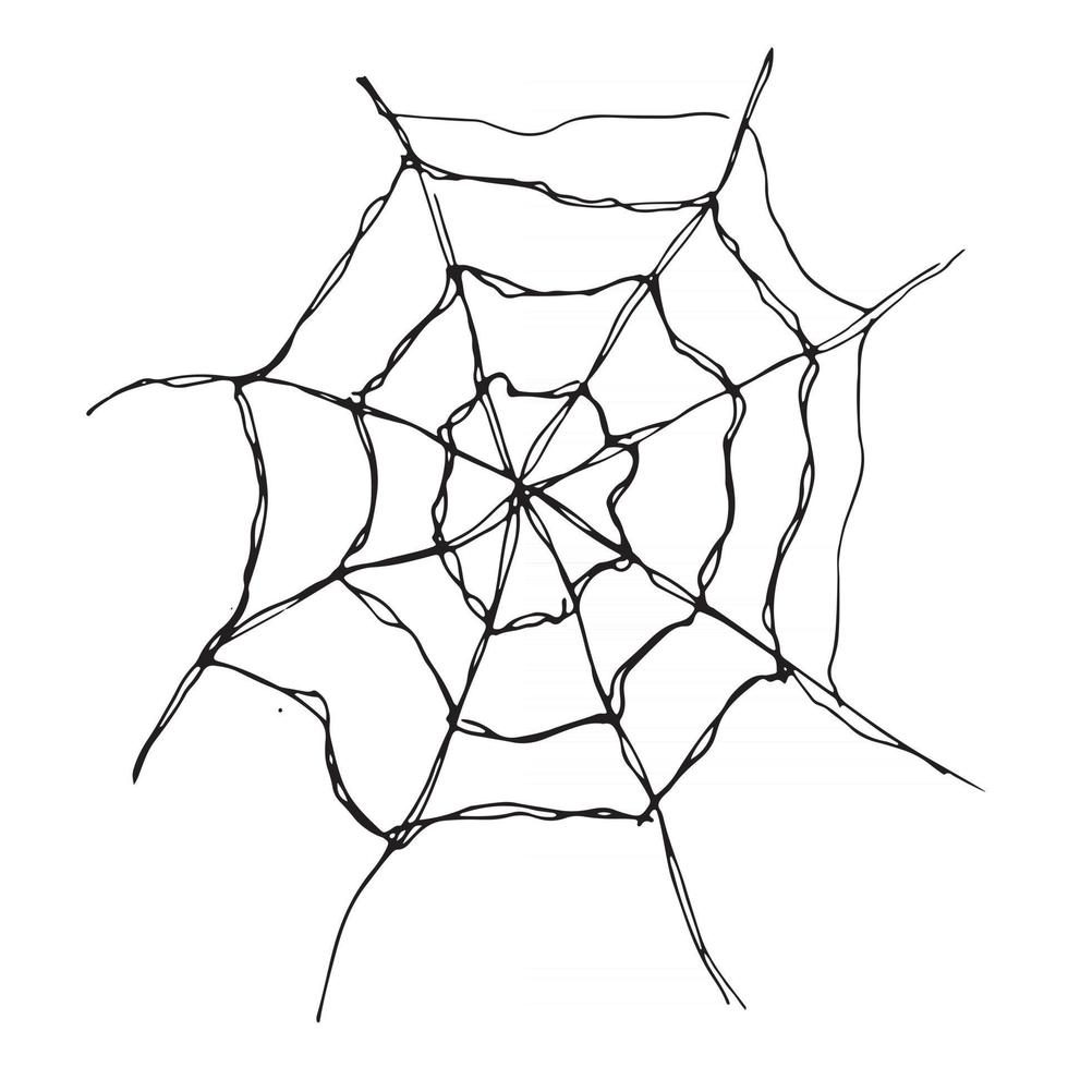 Tela de araña dibujada a mano ilustración de vector de web bosquejado aislado sobre fondo blanco