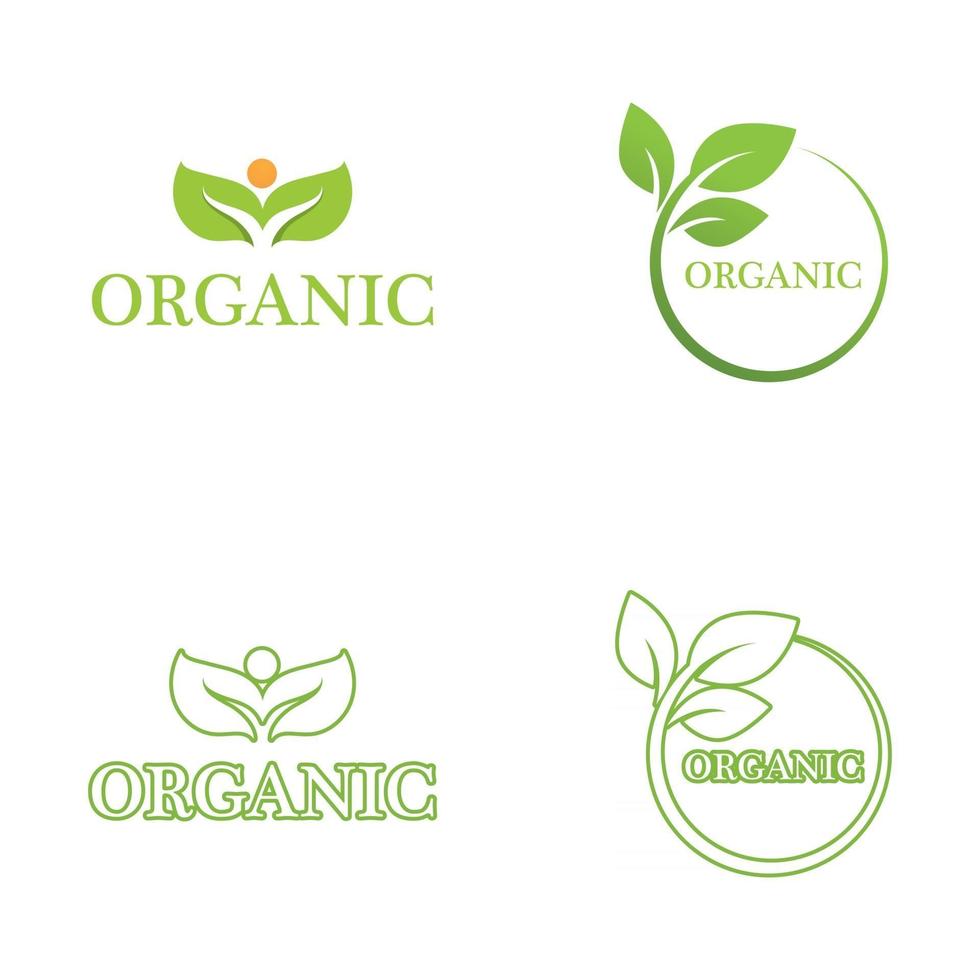 hoja verde, naturaleza, logotipo, ecología, vector, imagen vector