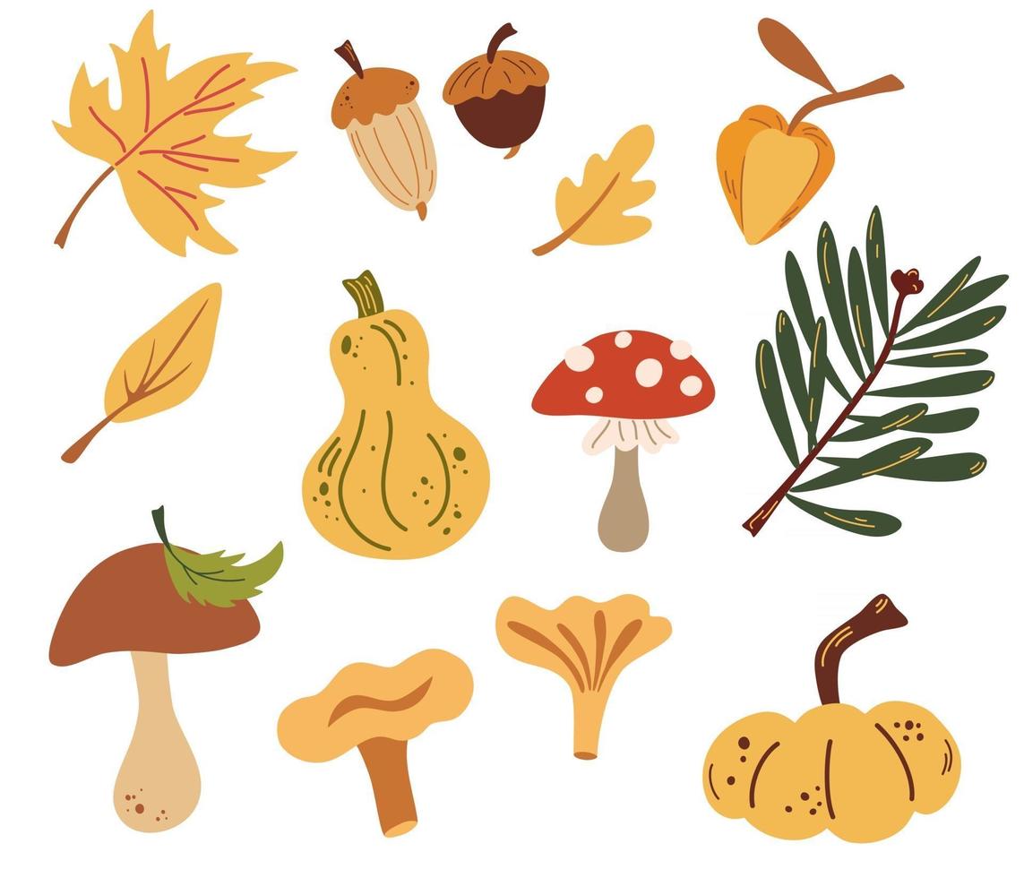 conjunto de elementos de la naturaleza otoñal objetos forestales hojas, setas, bellotas, calabazas. granja fresca. elementos de cosecha. ilustración vectorial en estilo de dibujos animados vector