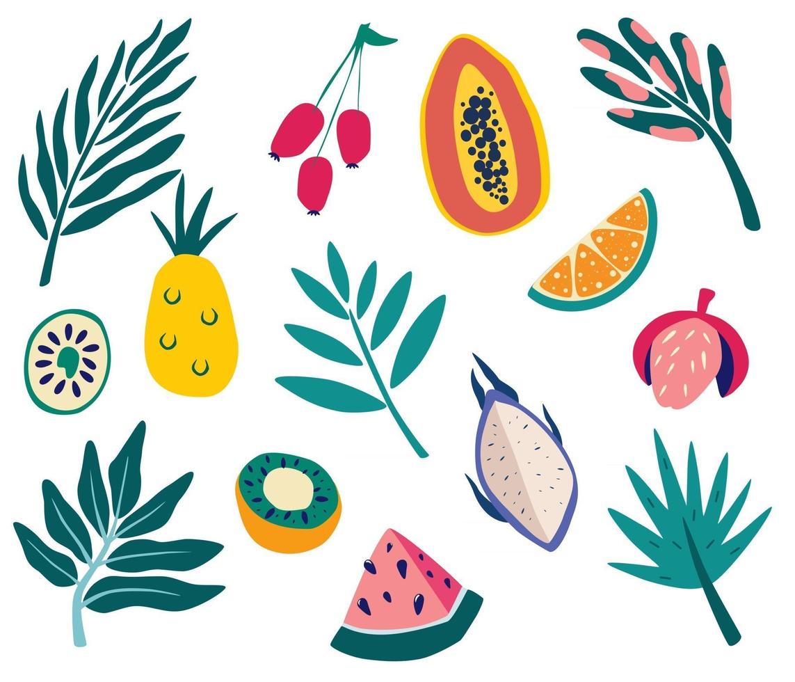 Set of tropical fruits and leaves. Exotic fruits and branches of palm trees.  Summer organic fruits or vegetarian food. Jungle flora. Vector isolated icons illustration in cartoon style