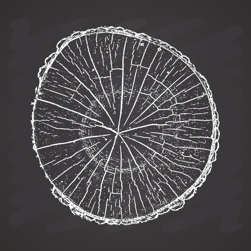 registro de árbol, anillos de crecimiento de madera textura grunge ilustración vectorial vector