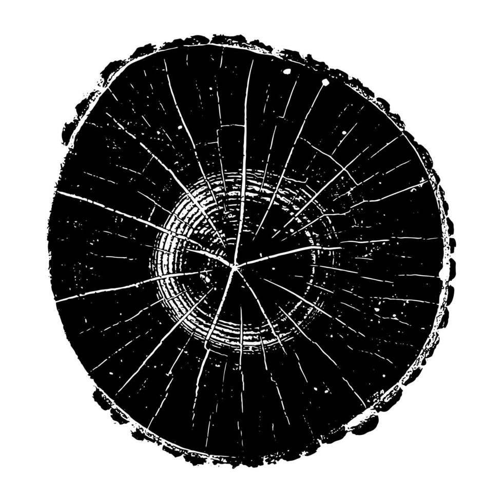 registro de árbol, anillos de crecimiento de madera textura grunge ilustración vectorial vector