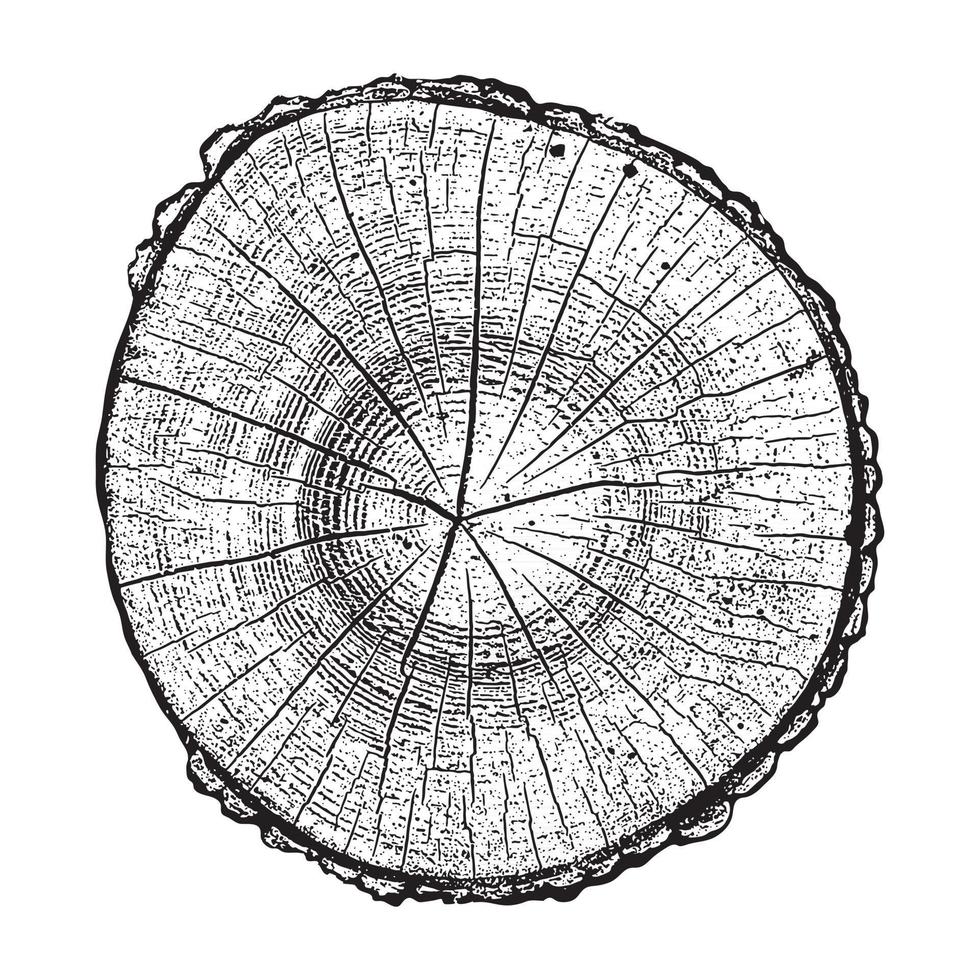 registro de árbol, anillos de crecimiento de madera textura grunge ilustración vectorial vector