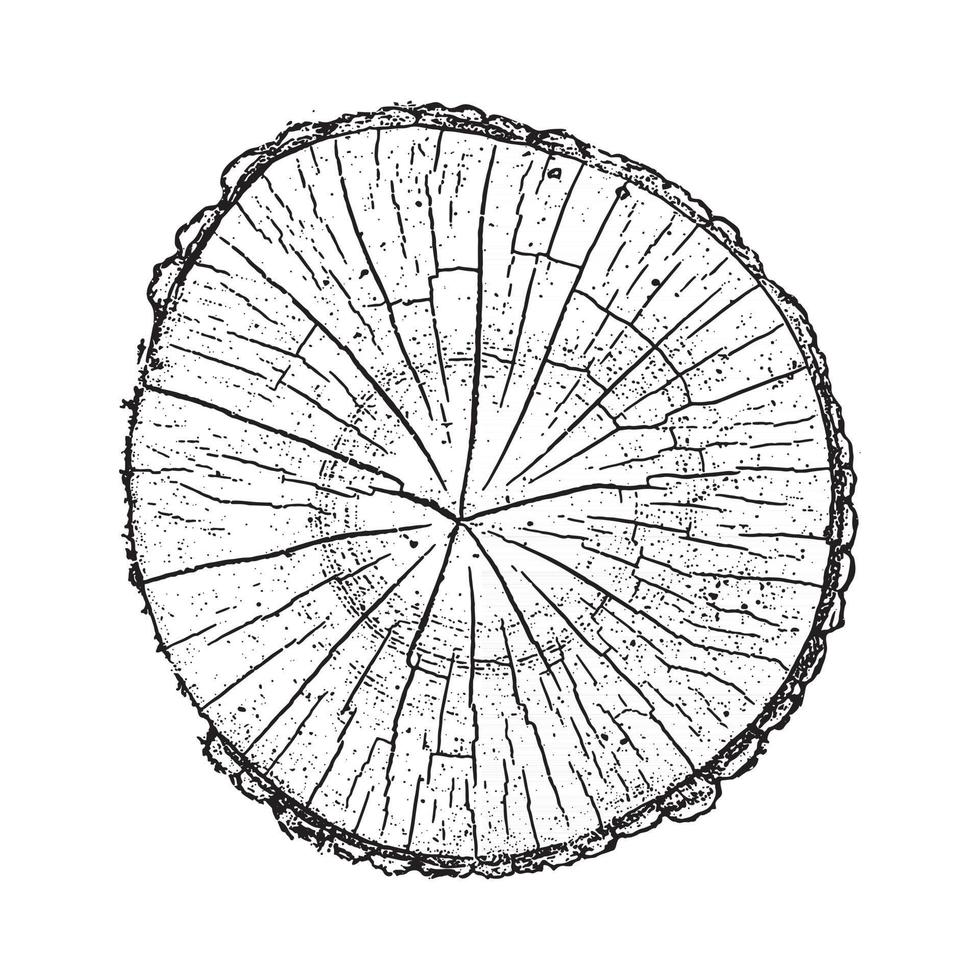 Tree log, wood growth rings grunge texture vector illustration