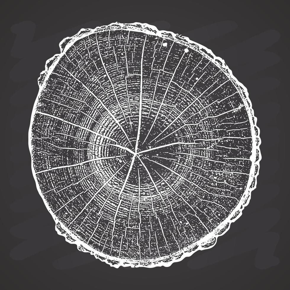 Tree log, wood growth rings grunge texture vector illustration
