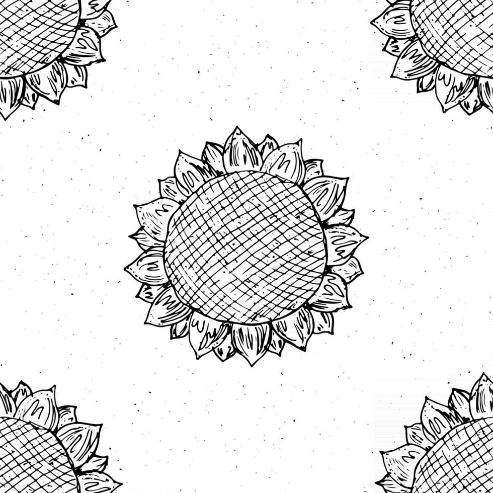 Sunflower seamless pattern hand drawn sketch, background, typography design vector illustration