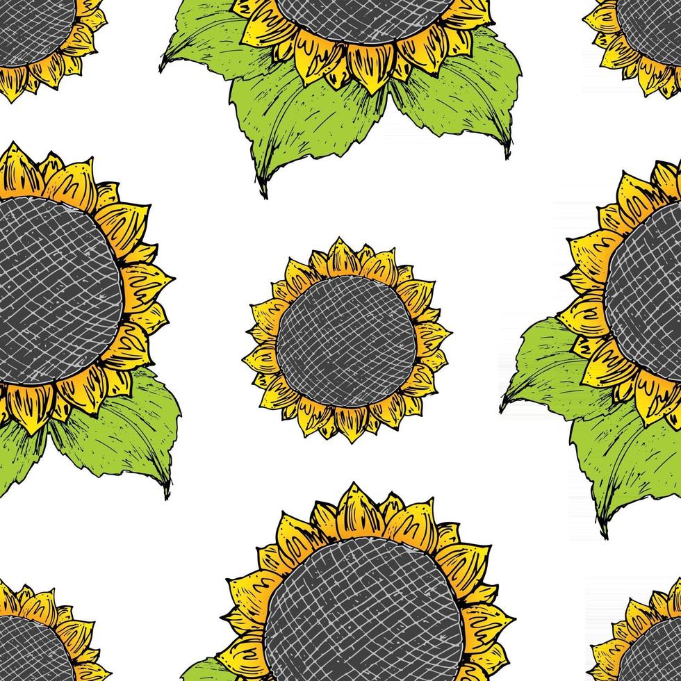 Sunflower seamless pattern hand drawn sketch, background, typography design vector illustration