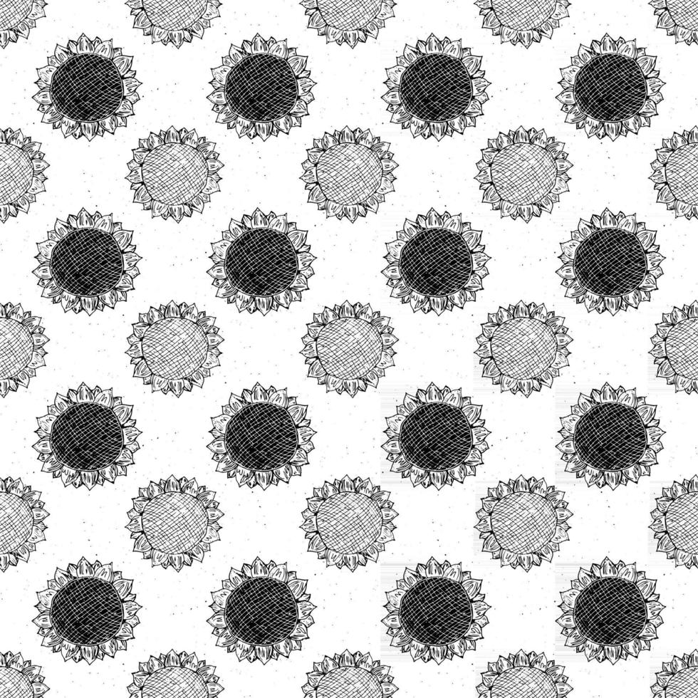 Sunflower seamless pattern hand drawn sketch, background, typography design vector illustration