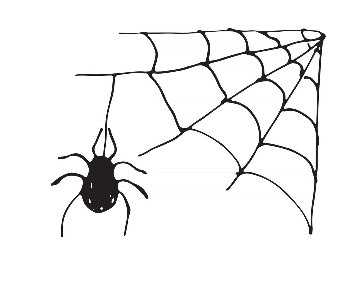 tela de araña dibujada a mano ilustración de vector de web bosquejado