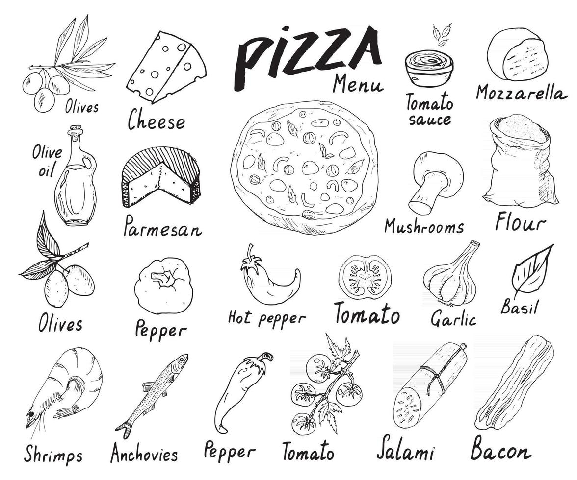 Menú de pizza conjunto de croquis dibujados a mano Plantilla de diseño de preparación de pizza con queso, aceitunas, salami, champiñones, tomates, harina y otros ingredientes. ilustración vectorial aislado sobre fondo blanco. vector