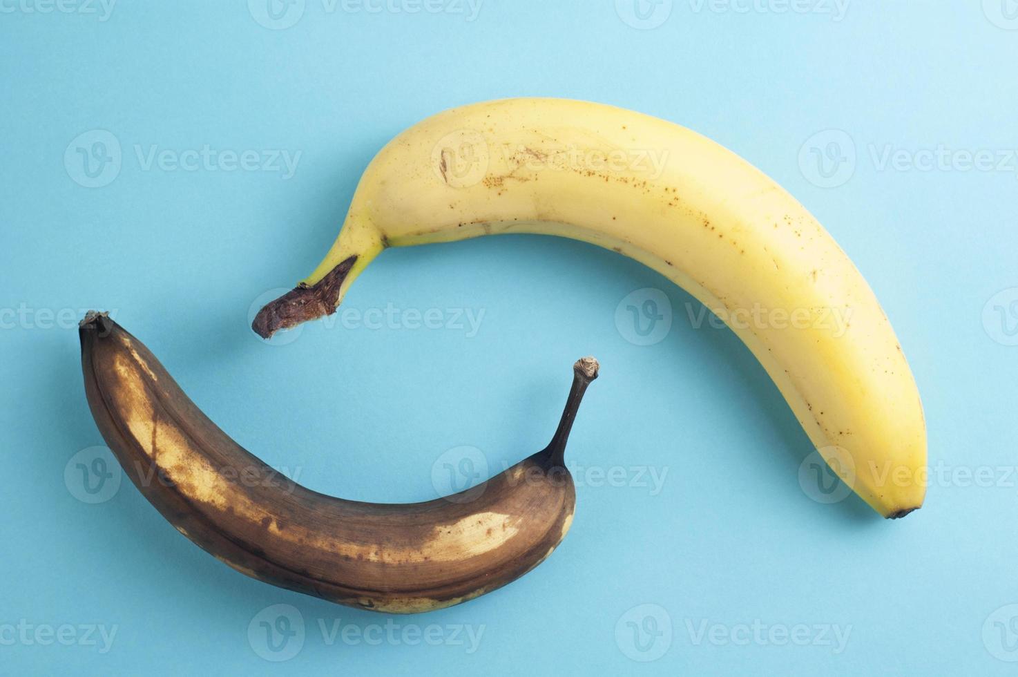 Concepto de flatlay mínimo hecho de plátanos maduros y podridos sobre fondo azul. foto