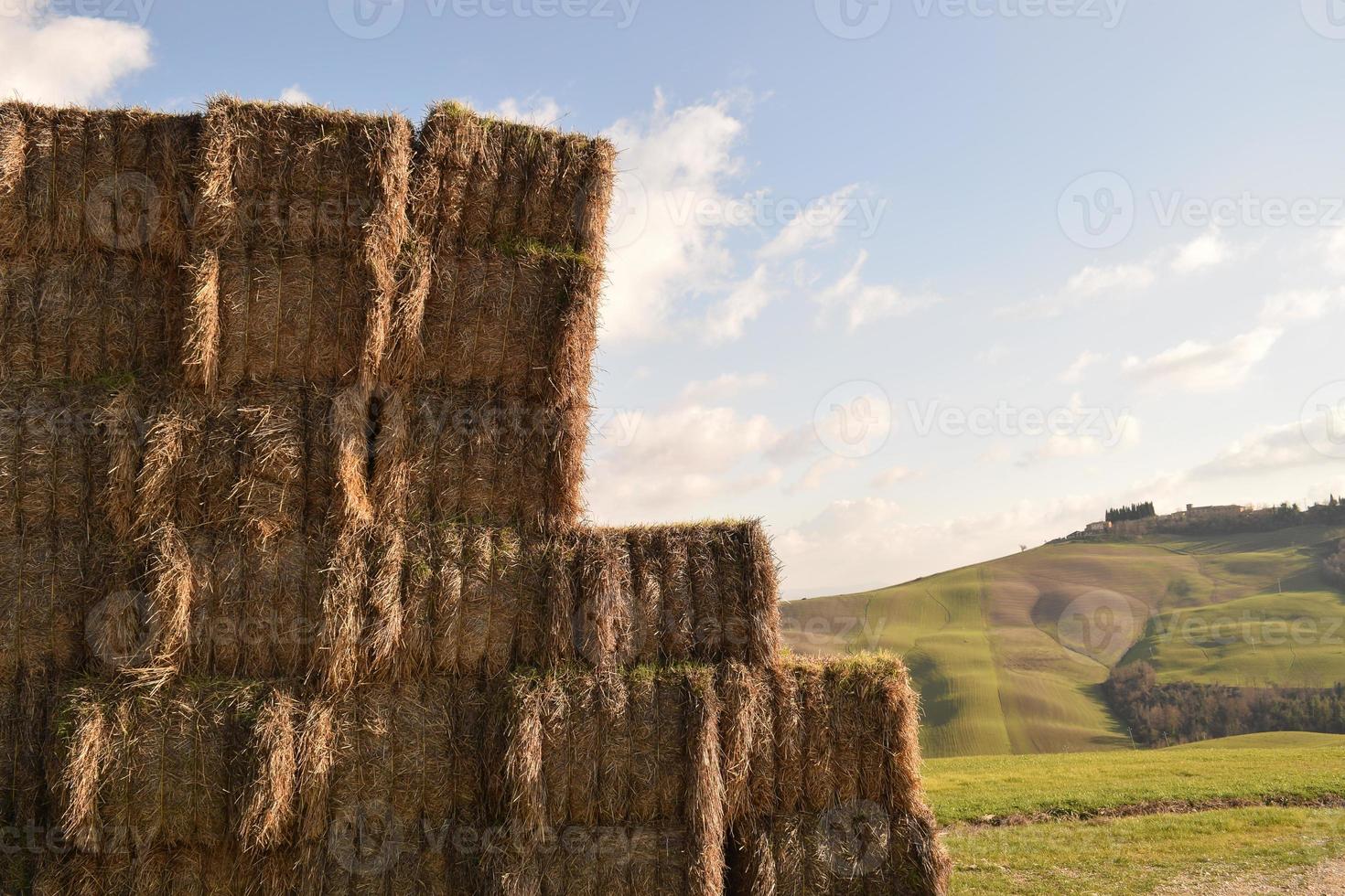 paisaje de toscana, italia foto