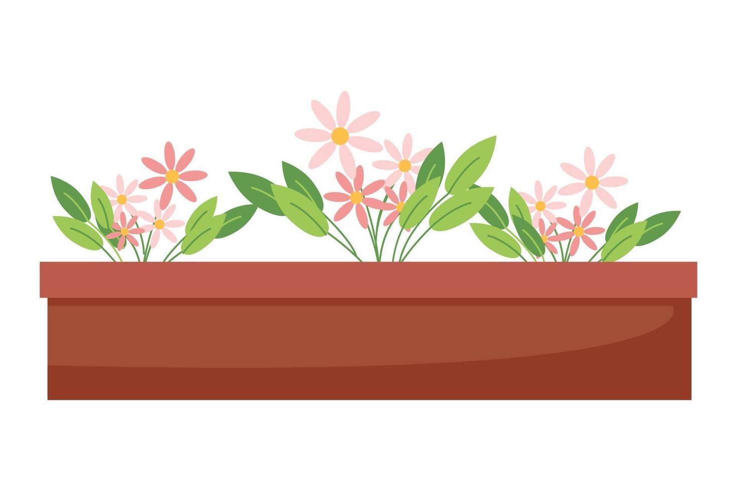 margaritas rosadas en una maceta, plantas de interior, lindas flores rosadas, ilustración vectorial en estilo plano, dibujos animados vector