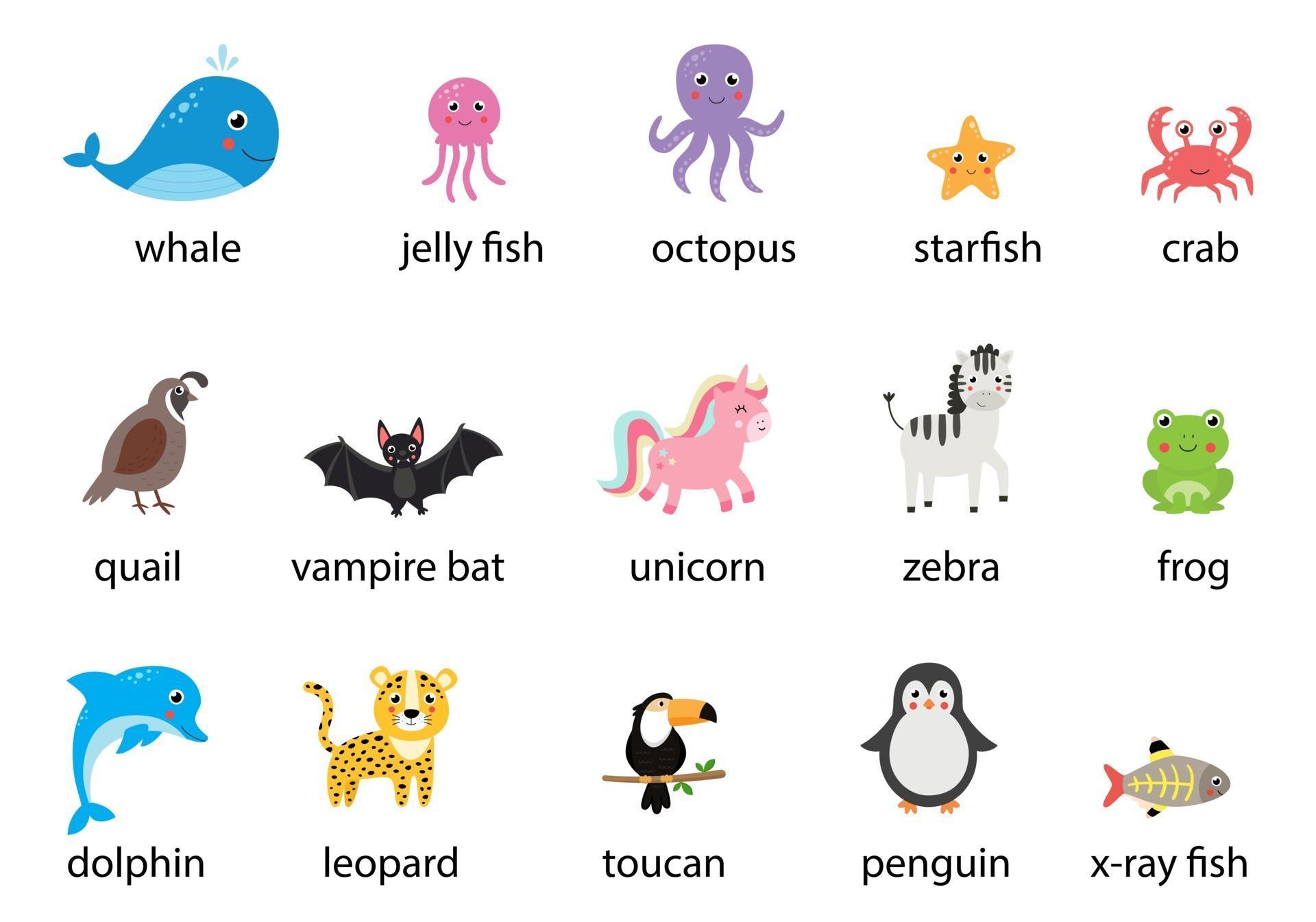 conjunto de lindos animales de dibujos animados con nombres. ilustraciones vectoriales. 2656699