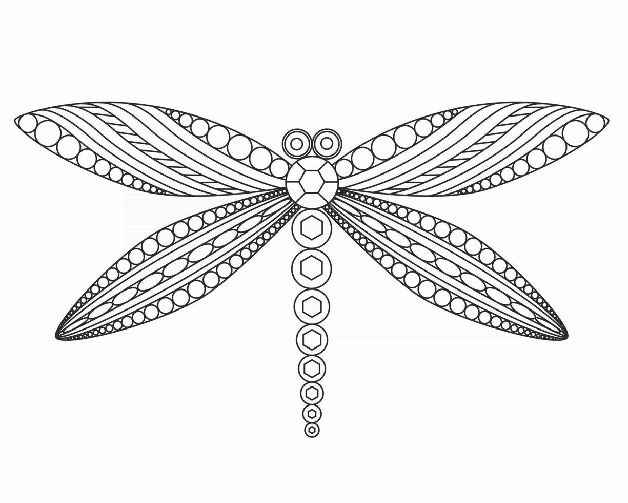 Dragonfly vector graphic illustration