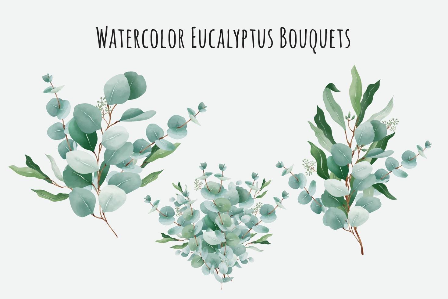 Watercolor Eucalyptus Bouquets vector