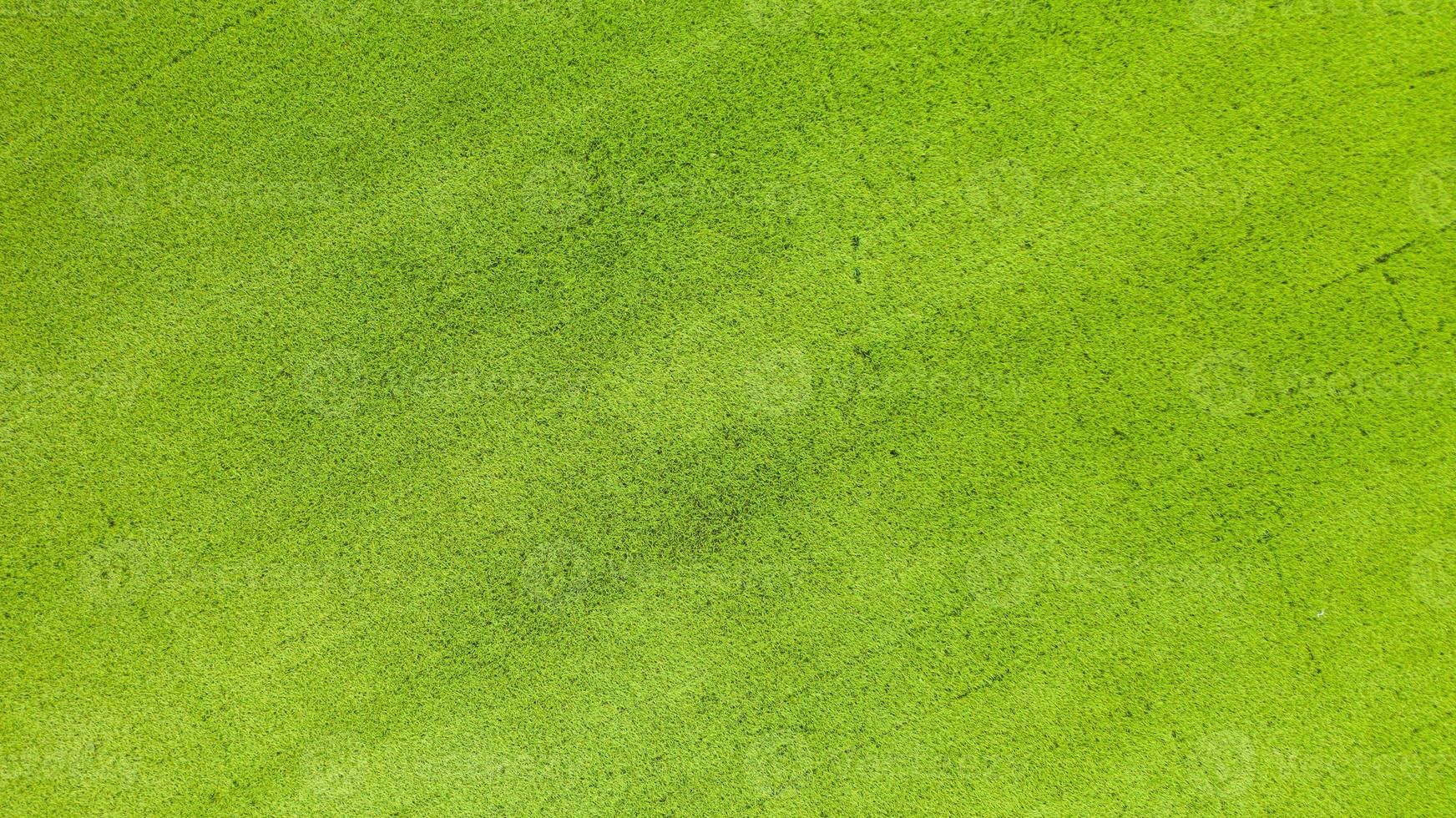 Vista aérea superior del campo de arroz verde desde arriba foto