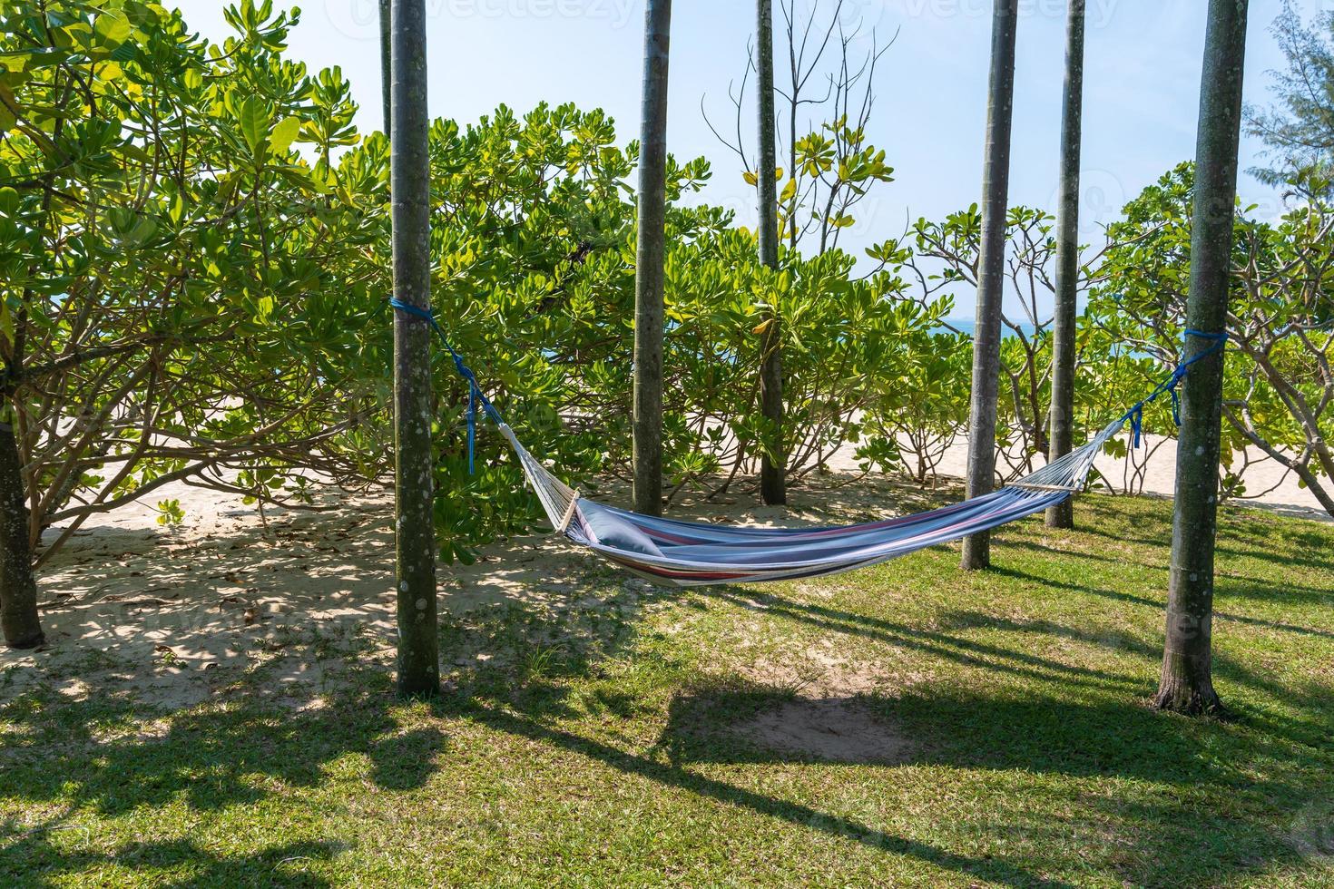 Tropical beach with hammock under the palm trees in sunlight photo