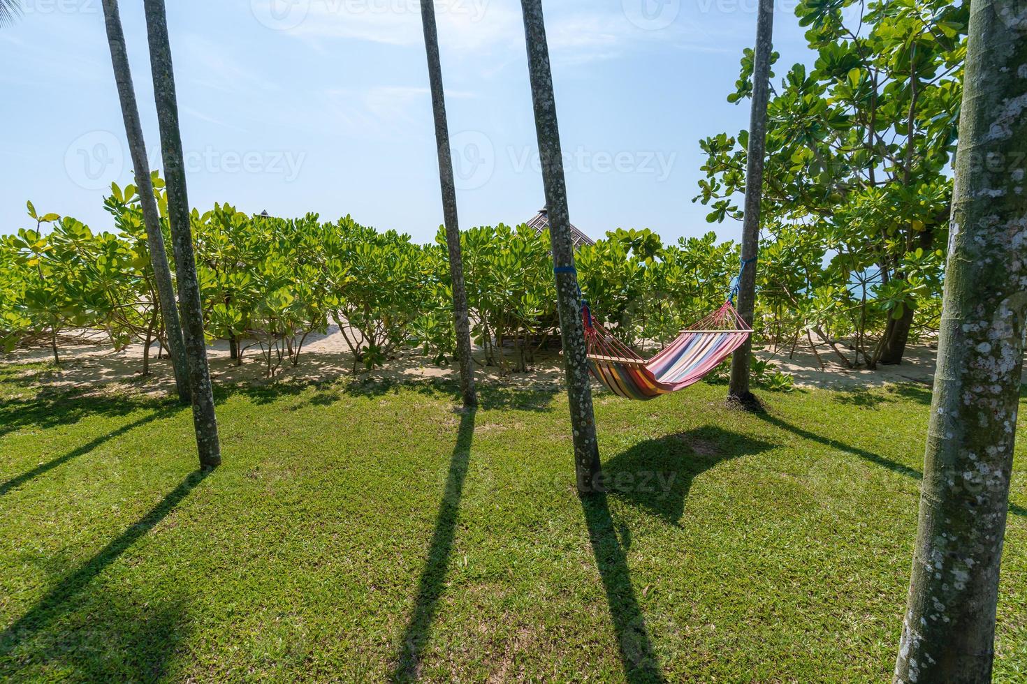 Tropical beach with hammock under the palm trees in sunlight photo